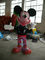Φίμπεργκλας παιχνιδιών νερού μαξιλαριών παφλασμών του Mickey Mouse για το πάρκο Aqua παιδιών