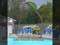 Προϊόντα εξοπλισμού για πάρκα νερού OEM